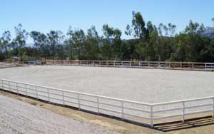 Horse Arena