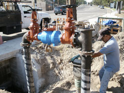 Backflow on a Fire Line